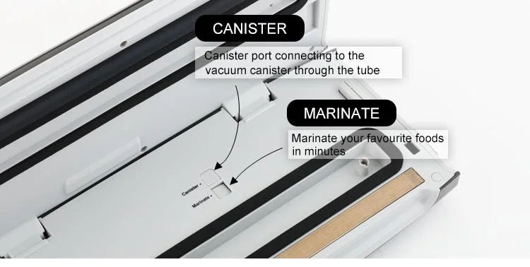 Multifunction Home Food Bag Containers Fresh Vacuum Sealer Machine Seal Machine and Vacuum Mini Sealer Be Vacuum Vs62 Vakum Sealer